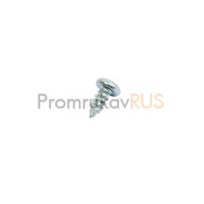 Саморез с полукруглой головкой тупоконечный 2,9х9,5 (DIN 7981) (1000 шт/уп)